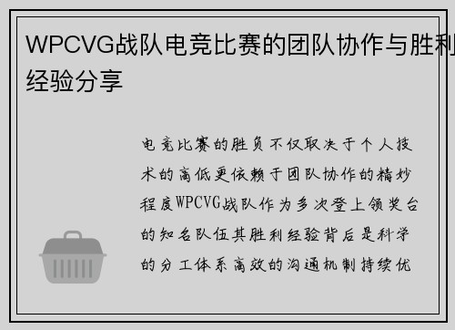 WPCVG战队电竞比赛的团队协作与胜利经验分享